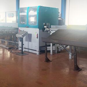 Sierra Tronzadora marca REINHARDT Modelo SLIM LINE SL 225 W